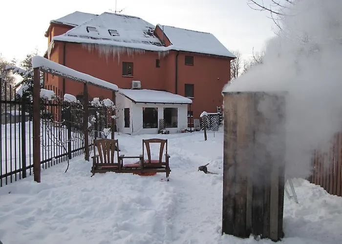 Vulture Havířov