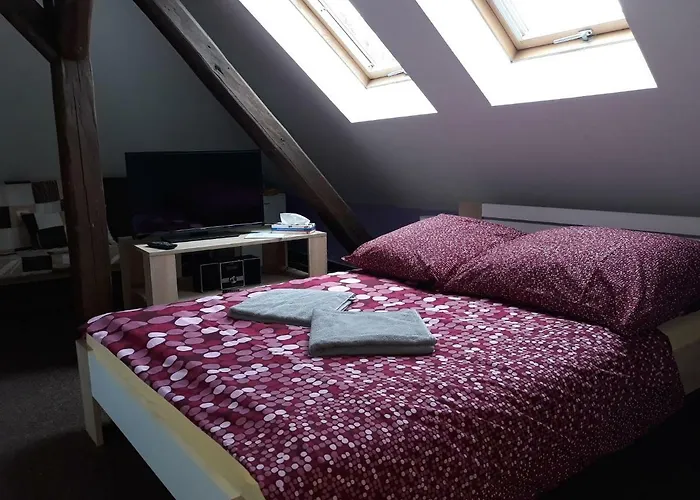 Vulture